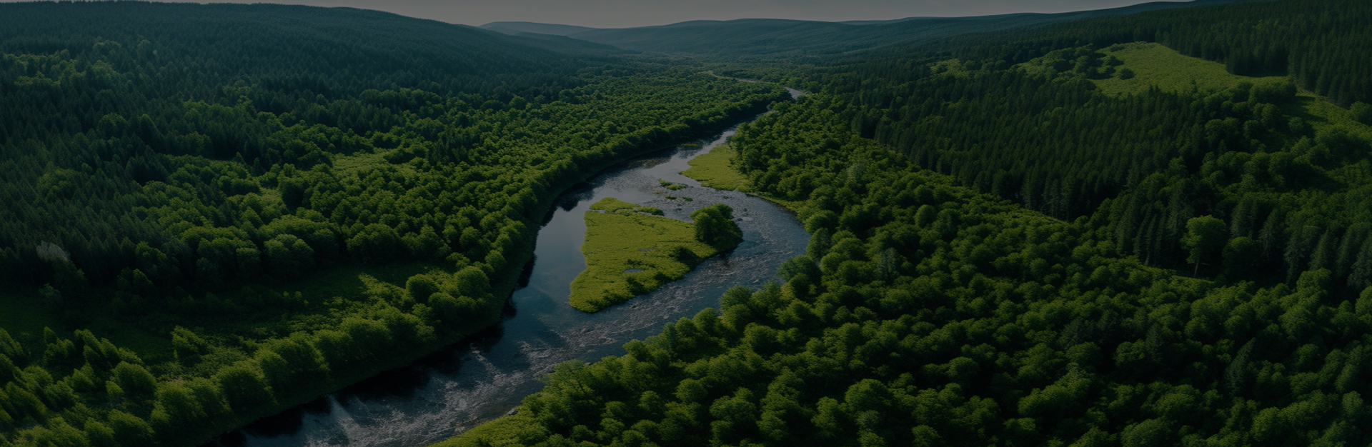 شركة جياشينغ دينغشي لتصنيع الآلات المحدودة