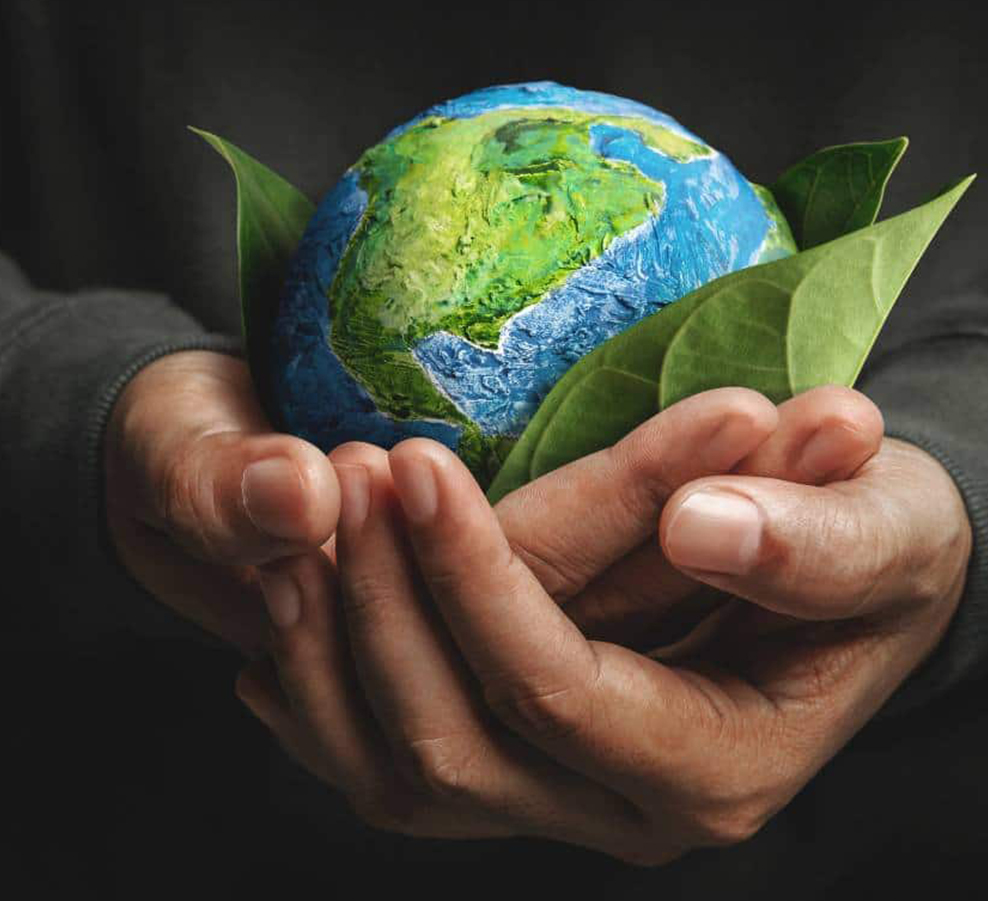 شركة جياشينغ دينغشي لتصنيع الآلات المحدودة